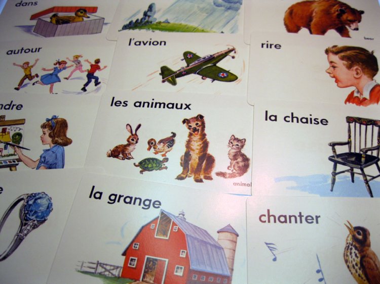 Illustrated French Vintage Flash Cards (4) - Click Image to Close
