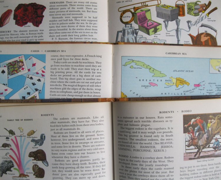 Vintage Children's Encyclopedia Pages (12) - Click Image to Close