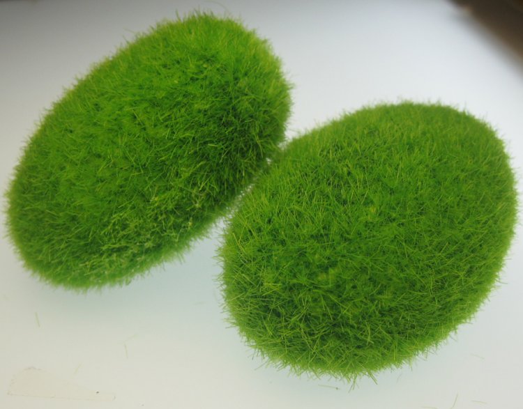 Green Mossy Rocks for Fairy Garden or Terrarium (3) - Click Image to Close