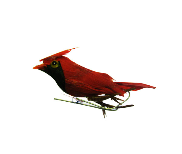 Feathered Vintage Cardinal Miniature (1) - Click Image to Close